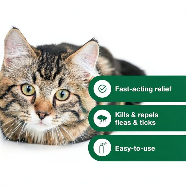 Elanco Advantage Flea Spray for Cats Kills Fleas Ticks-6