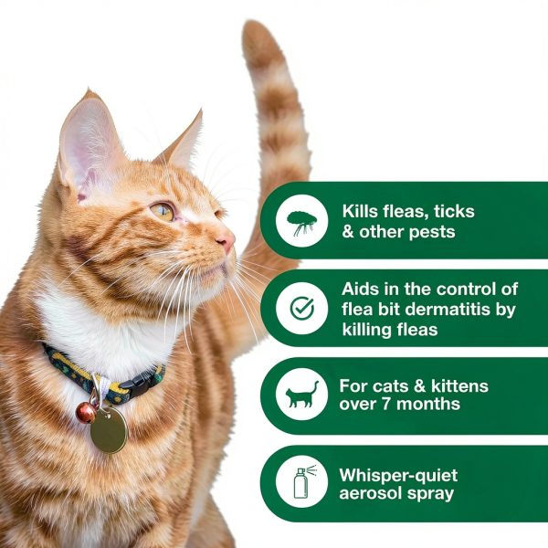Elanco Advantage Flea Spray for Cats Kills Fleas Ticks-2